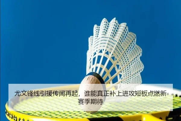 尤文锋线引援传闻再起，谁能真正补上进攻短板点燃新赛季期待